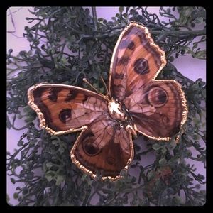 Unique Butterfly Brooch